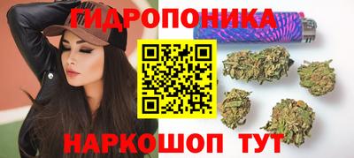 гидропоника Тара
