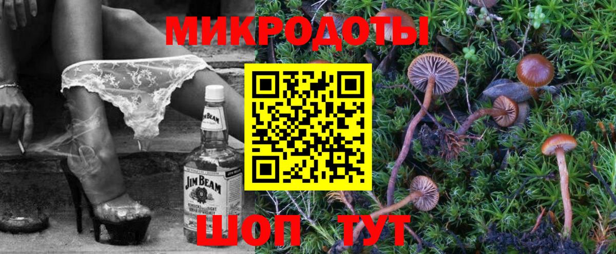 Галлюциногенные грибы мухоморы Норильск